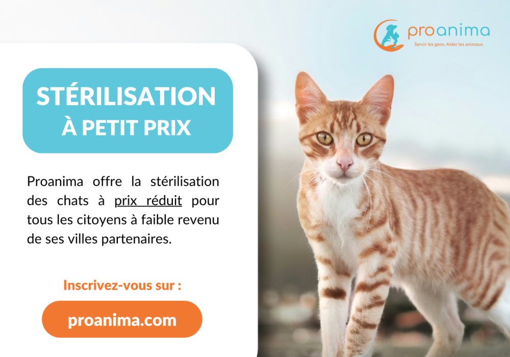 Stérilisation à petit prix de Proanima